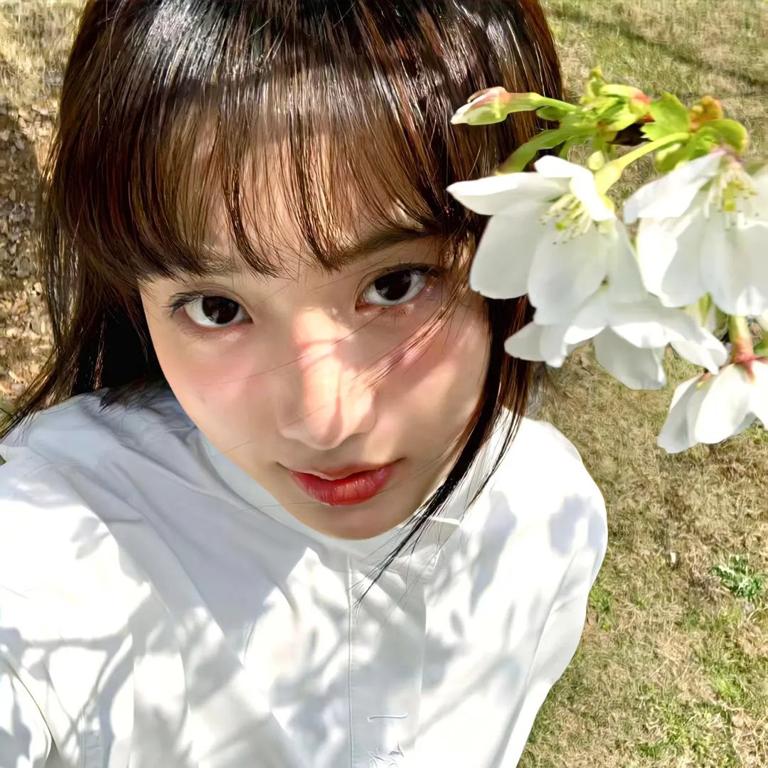 苏菲的世界